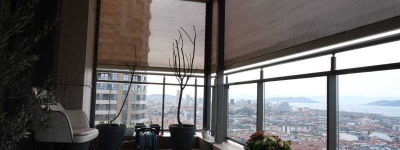 IMG-20240216-WA0053(2)