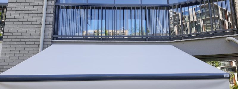 IMG-20220513-WA0019
