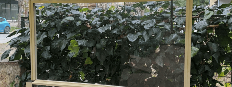 Maltepe rüzgar kırıcı pergola sistemleri